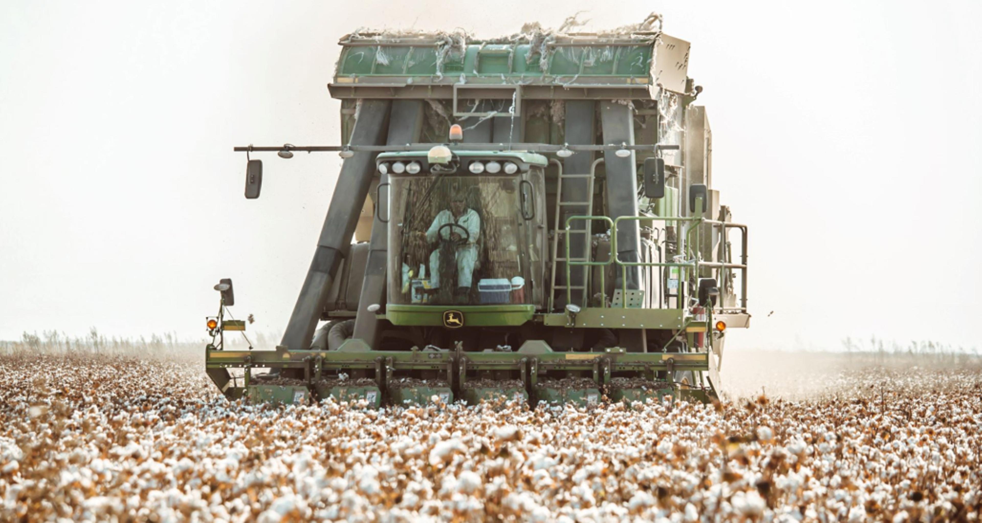 Cotton harvester.