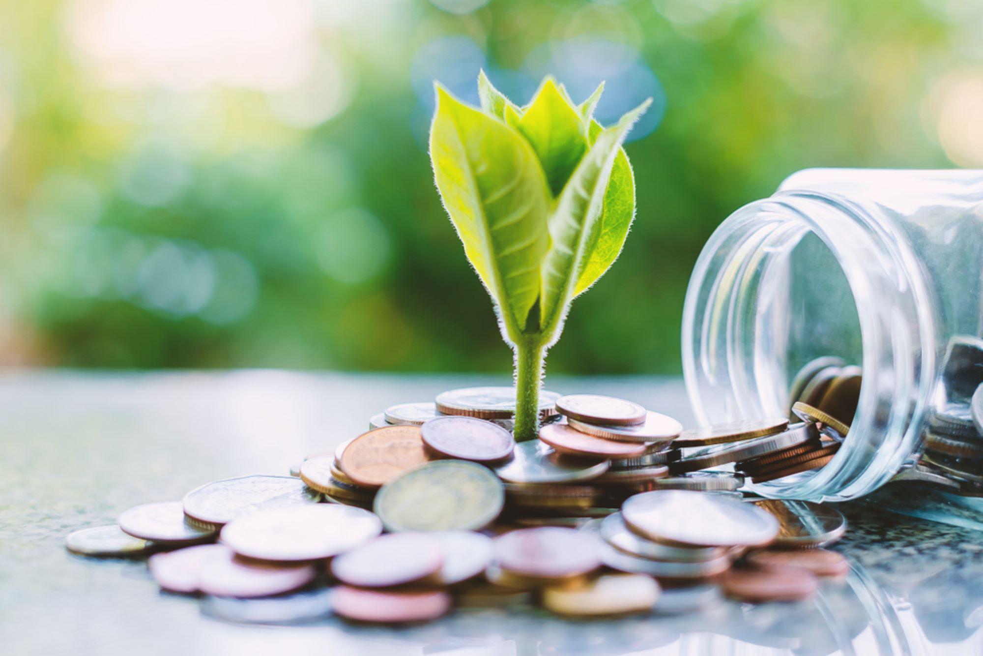 A plant sprouting from a pile of coins.