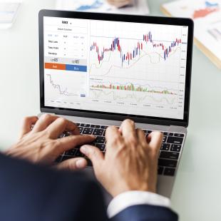 closeup shot of a person on their laptop looking at a chart and typing