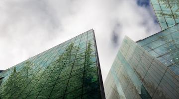 Skyscrapers reflect forest trees